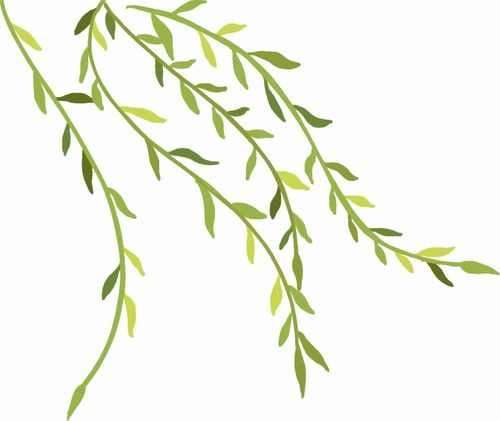 今年南寧人的歌來了 邕江組曲系列音樂電視作品上線發(fā)布 活動(dòng)回顧